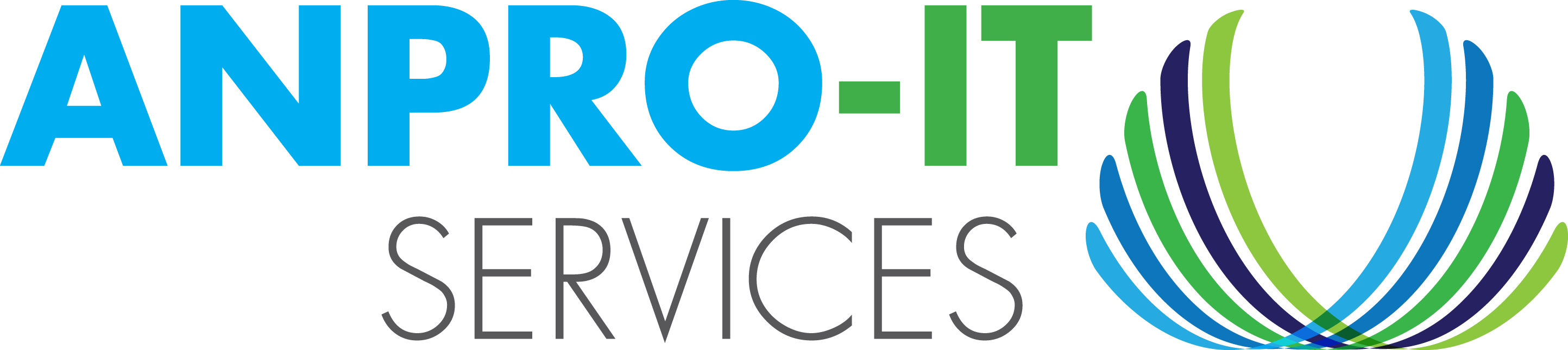 Anpro-IT Services